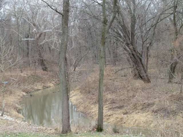 a backyard of a building