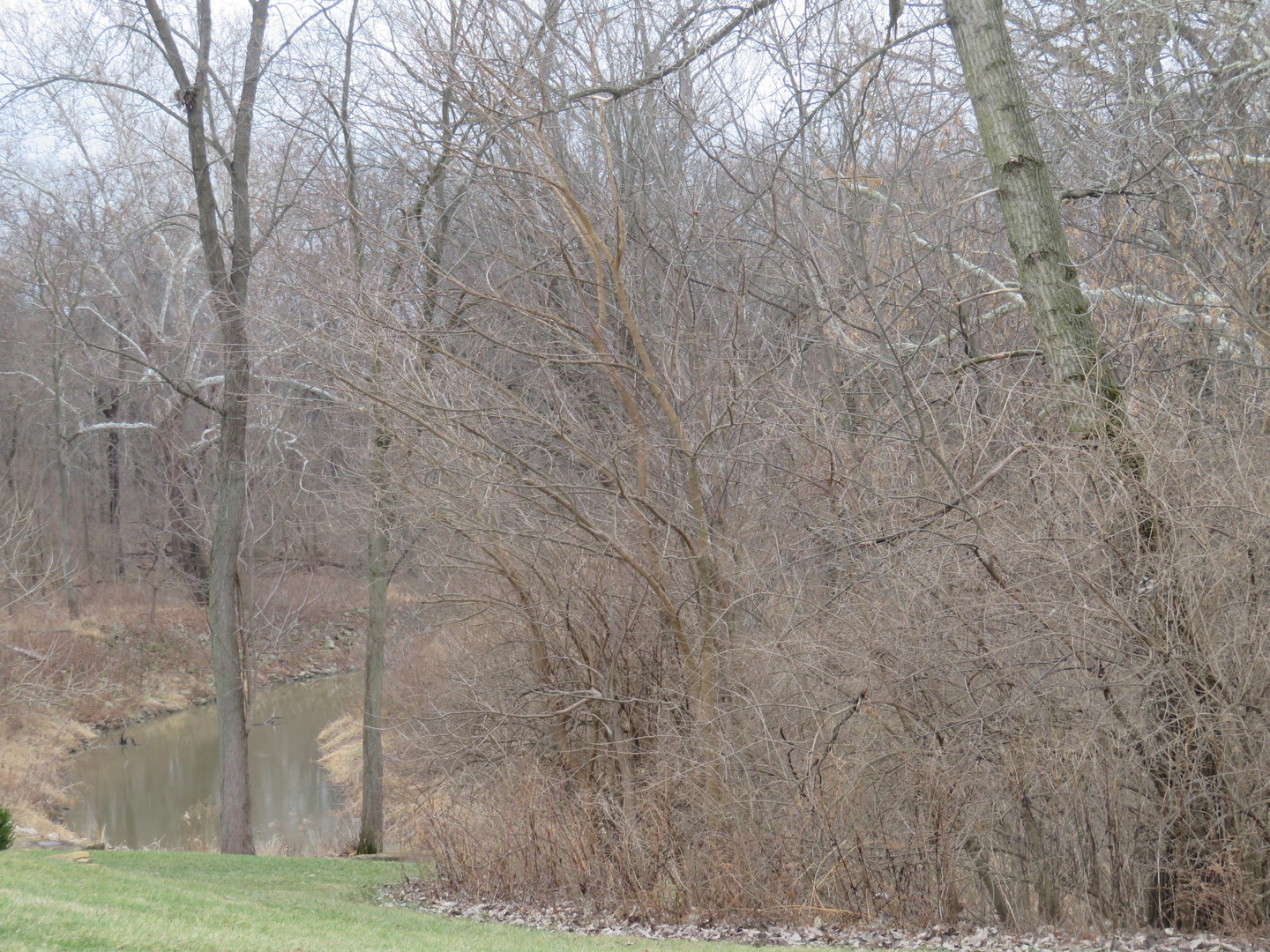 1277 Fremont Avenue Morris, IL 60450 - Photo 5 of 5 a view of a outdoor space