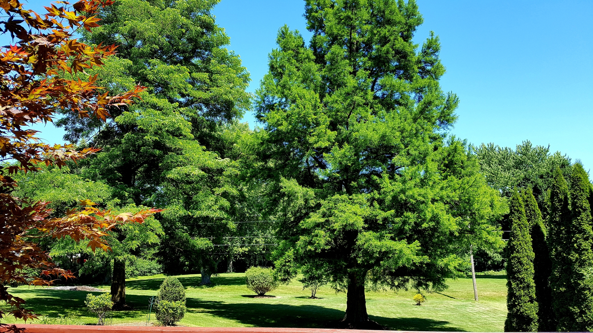 5 Oakwood Road Indian Creek, IL 60061 - Photo 15 of 18 a view of a garden with plants