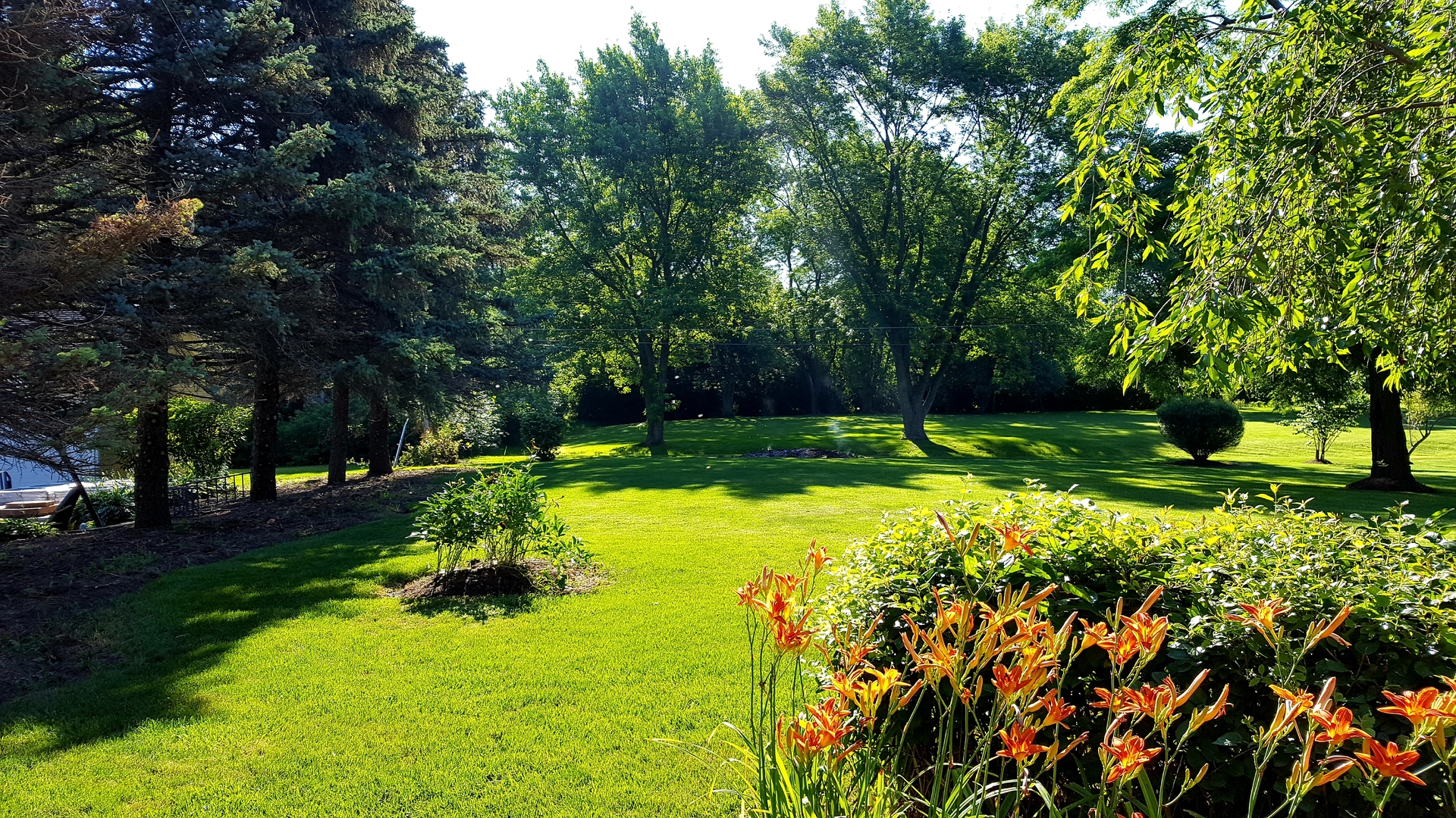 5 Oakwood Road Indian Creek, IL 60061 - Photo 17 of 18 a view of a park with large trees