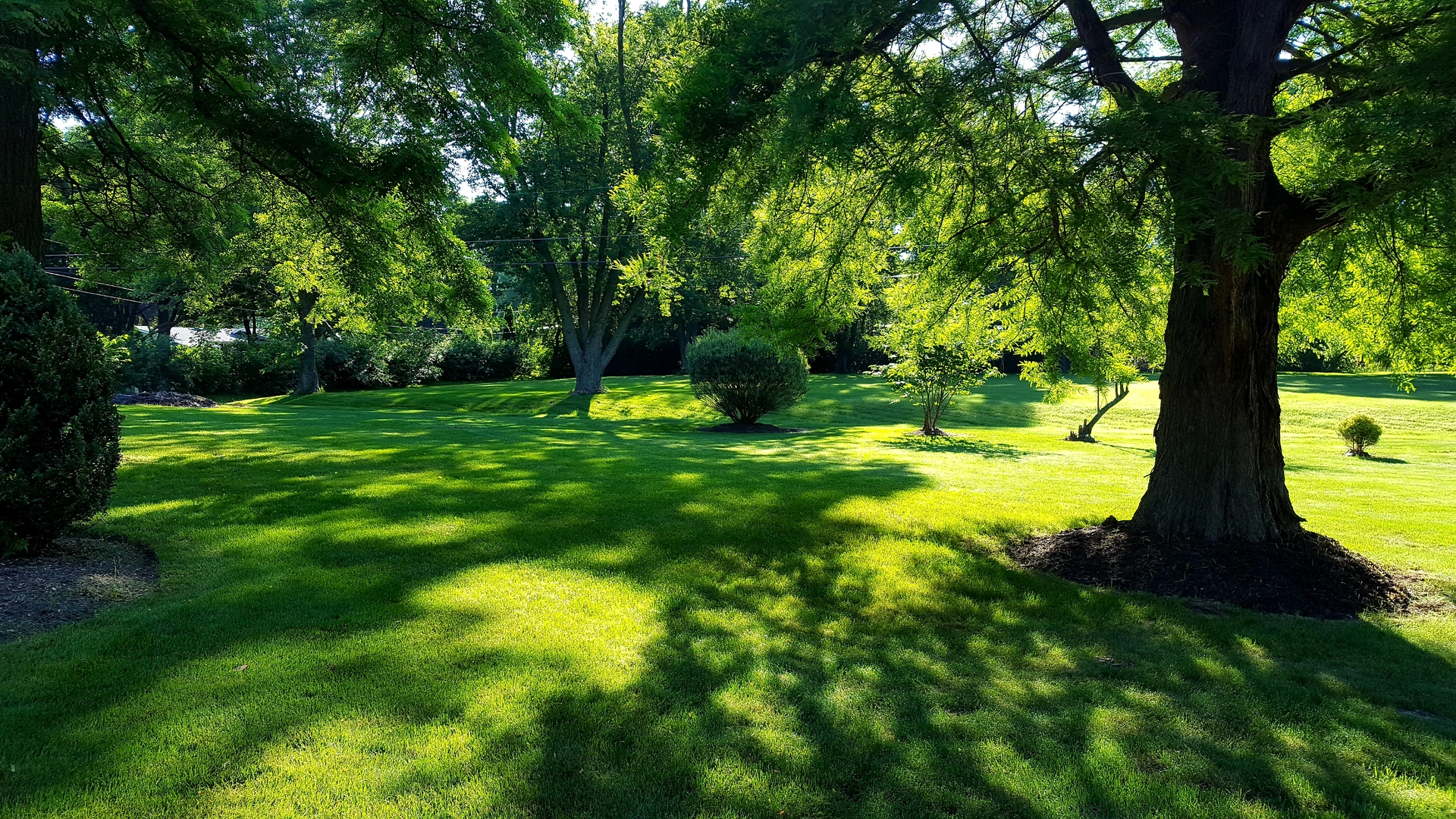 5 Oakwood Road Indian Creek, IL 60061 - Photo 18 of 18 a view of a trees with a yard