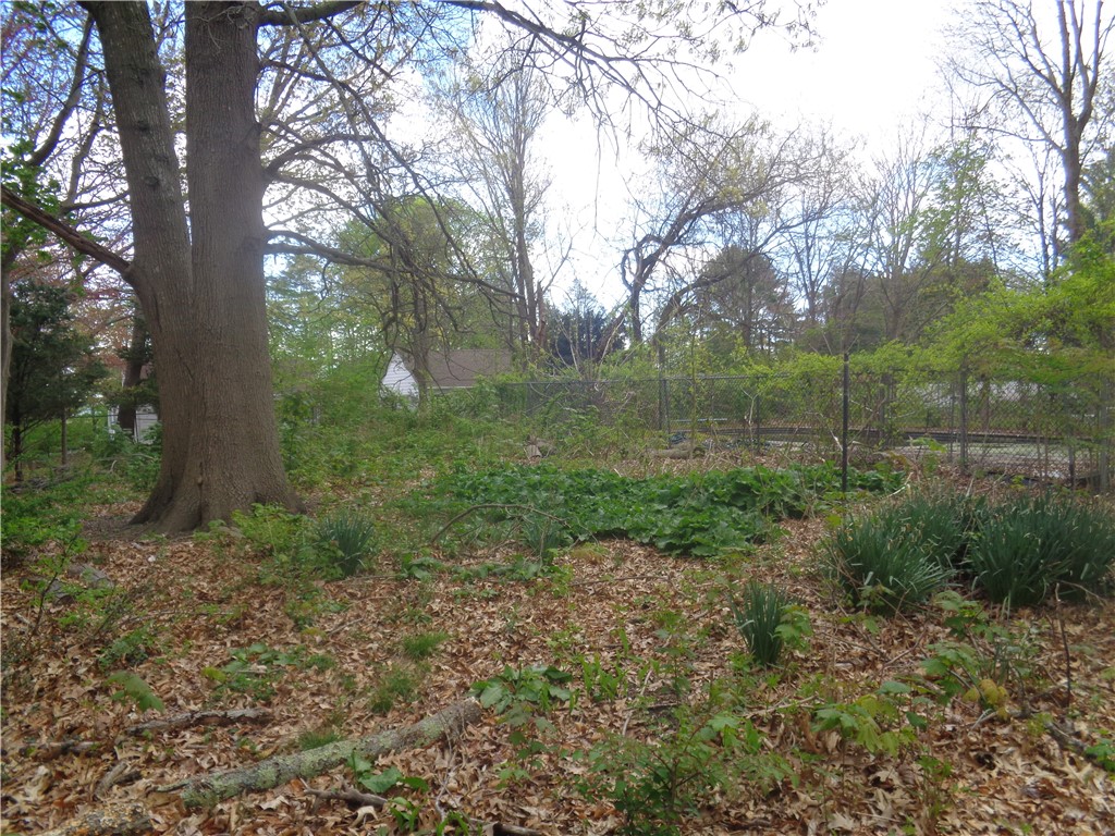 74 Balcom Avenue Warwick, RI 02889 - Photo 6 of 17