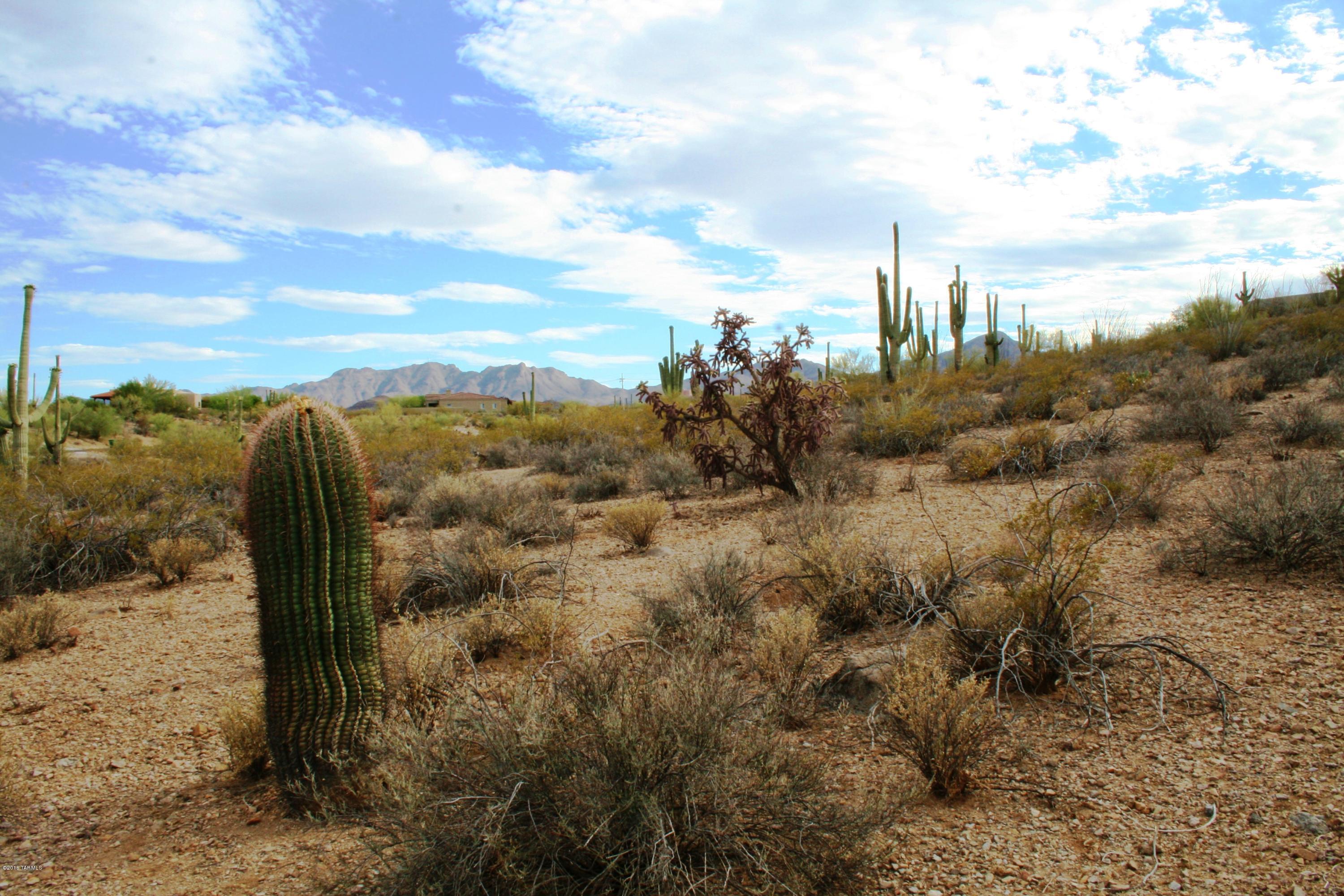 6075 North Abington Road, Unit LOT 4 Tucson, AZ 85743 - Photo 28 of 31