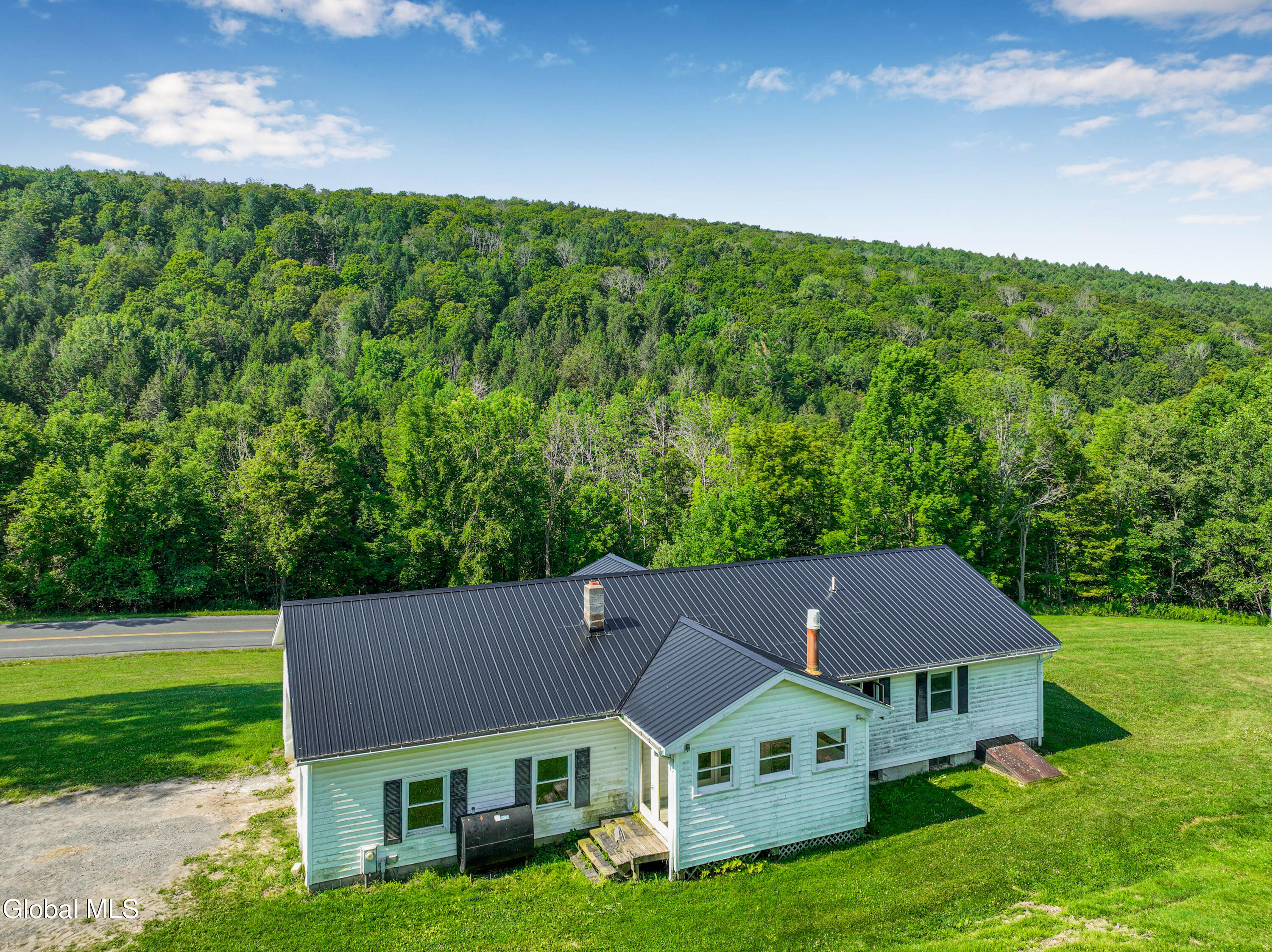 482 Keyserkill Road Broome, NY 12122 - Photo 11 of 43 482 Keyserkill (41)