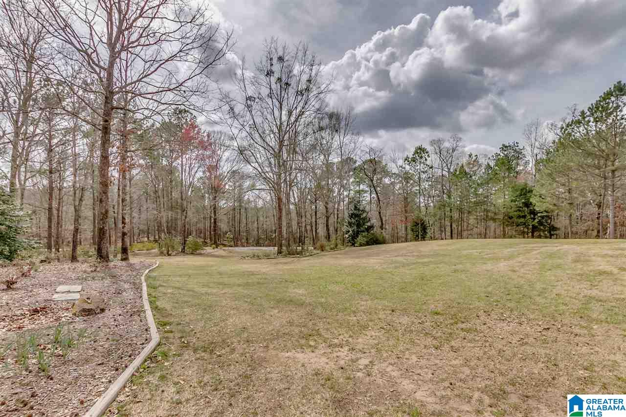 14714 Shiloh Road Ralph, AL 35480 - Photo 4 of 50