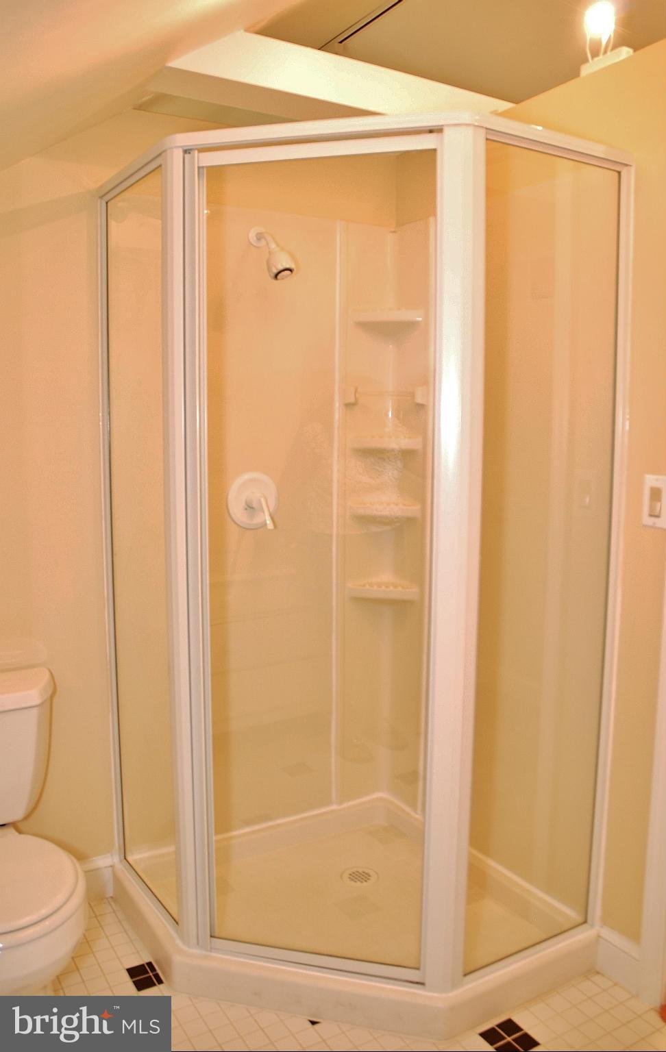 3310 Edgewood Road Kensington, MD 20895 - Photo 15 of 28 Bath (Master)