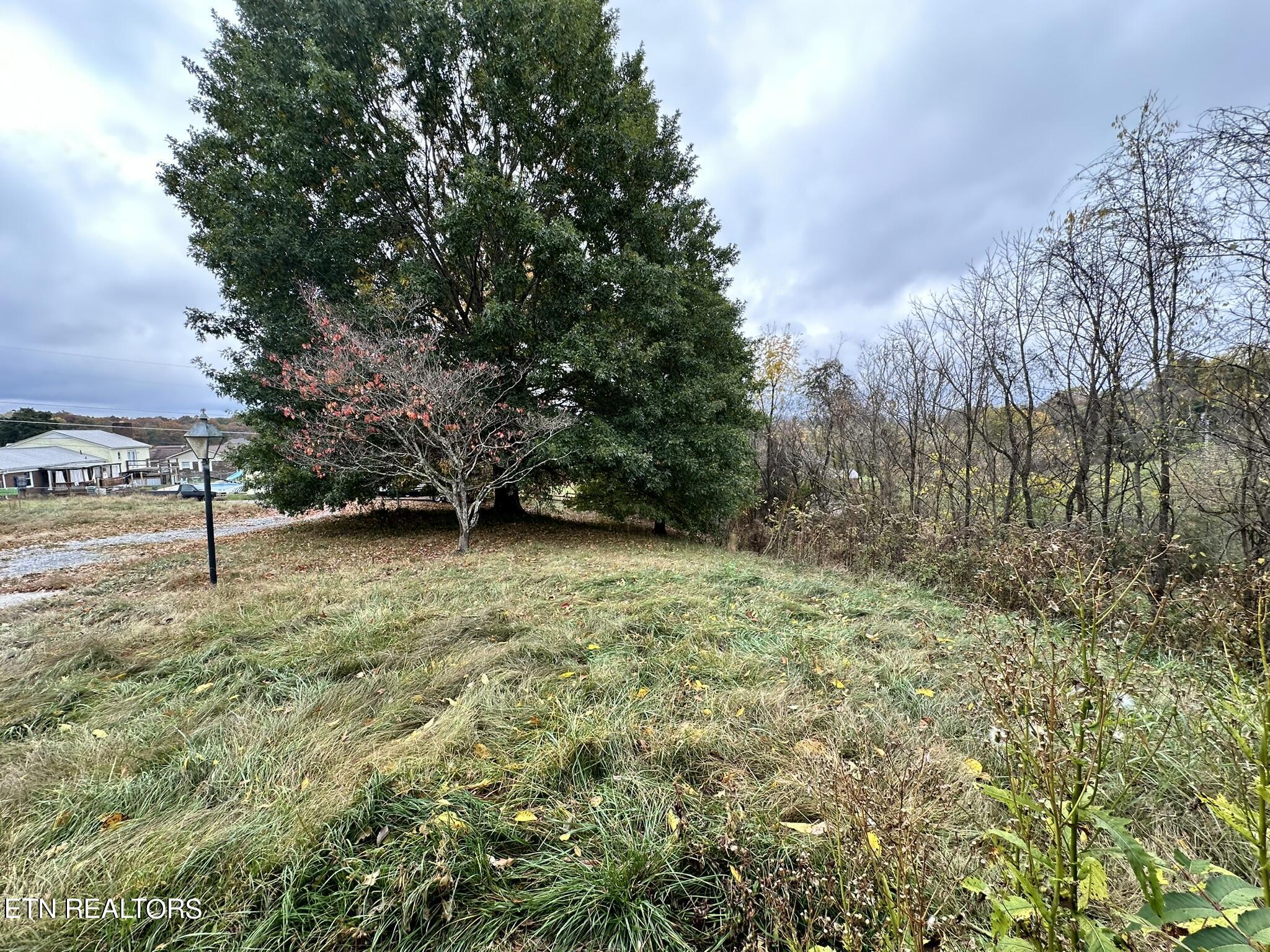 243 Iris Drive Harrogate, TN 37752 - Photo 16 of 54 IMG_5062