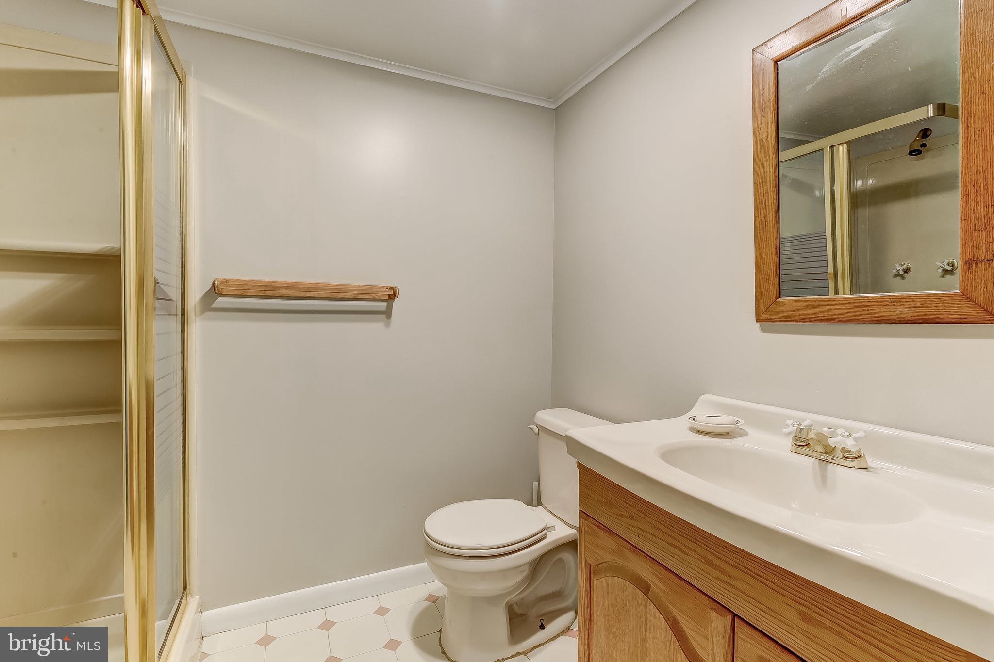 101 Belfast Road Lutherville-Timonium, MD 21093 - Photo 43 of 62 Lower Level Bath