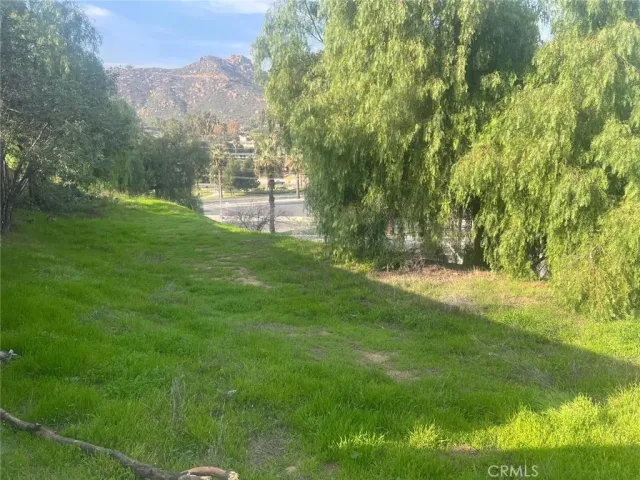 a view of a back yard