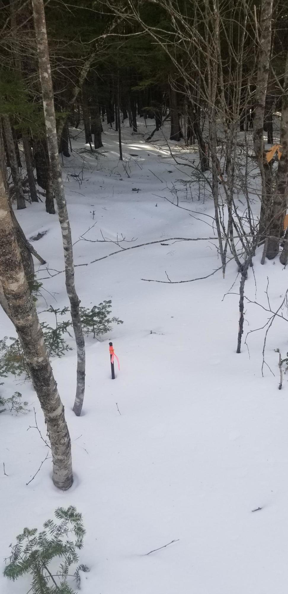 Tbd Smith Road Franklin, ME 04634 - Photo 5 of 11 20210215_095534