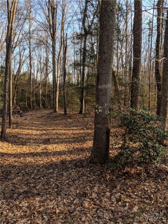 0 Indian Neck Road Tappahannock, VA 22560 - Photo 4 of 5 Gallery Image 4