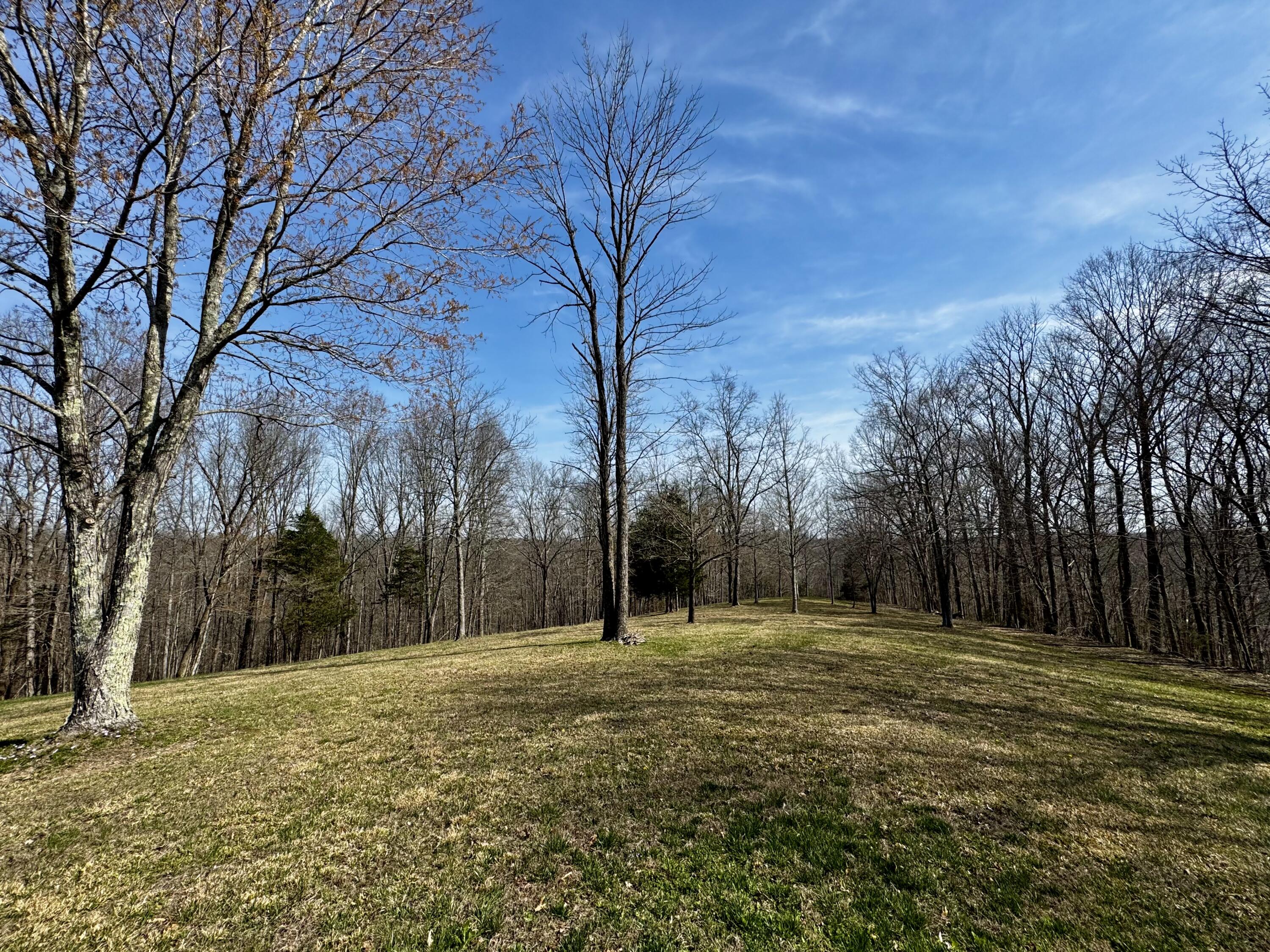 400 D D Wilson Road Knifley, KY 42753 - Photo 50 of 106 IMG_7569