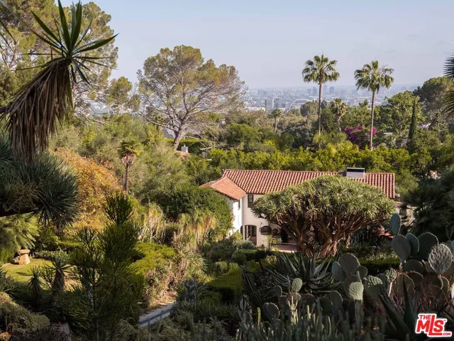 a view of backyard with table and chairs and potted plants