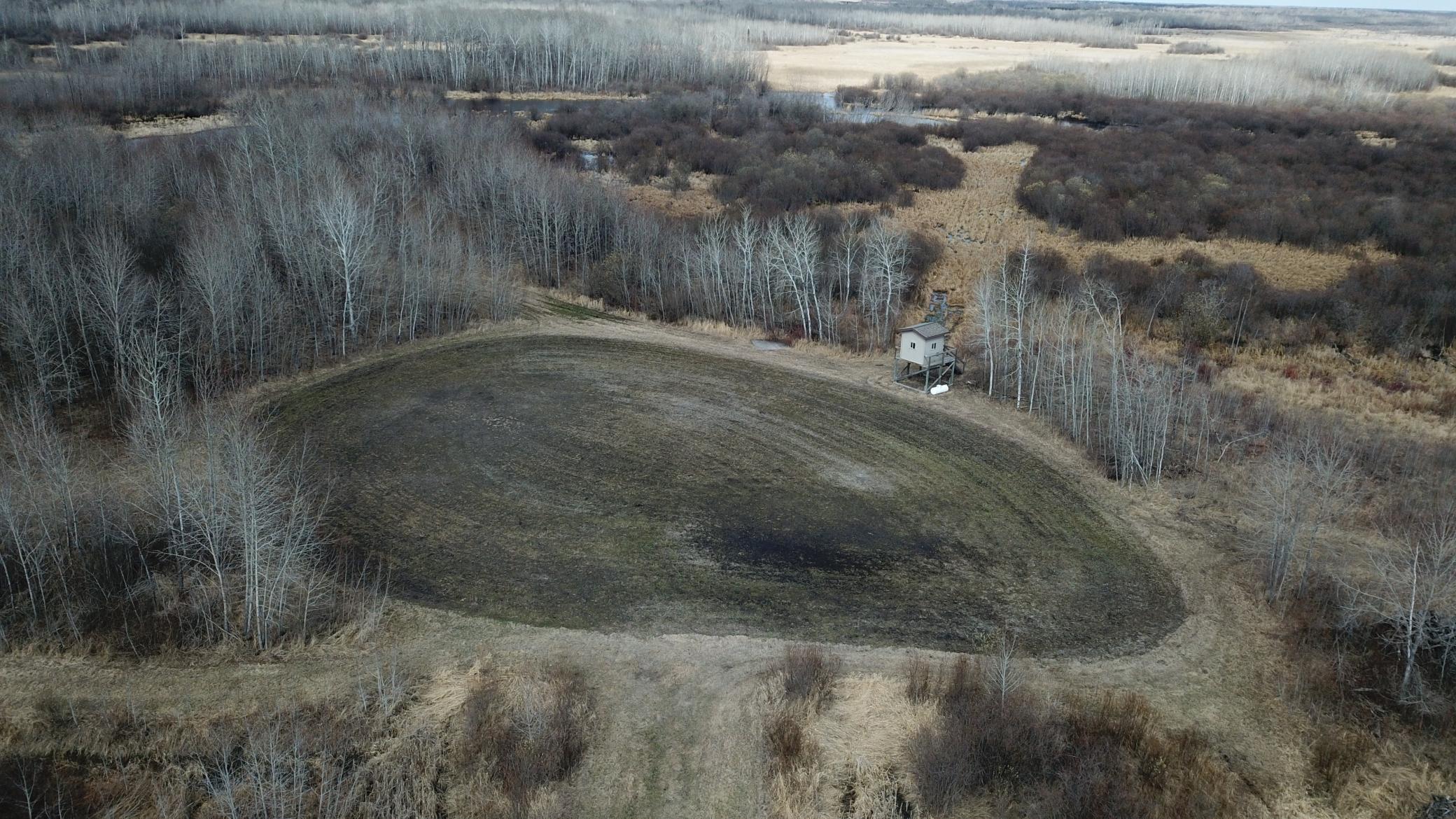 Tbd 480th Avenue Grygla, MN 56727 - Photo 1 of 35