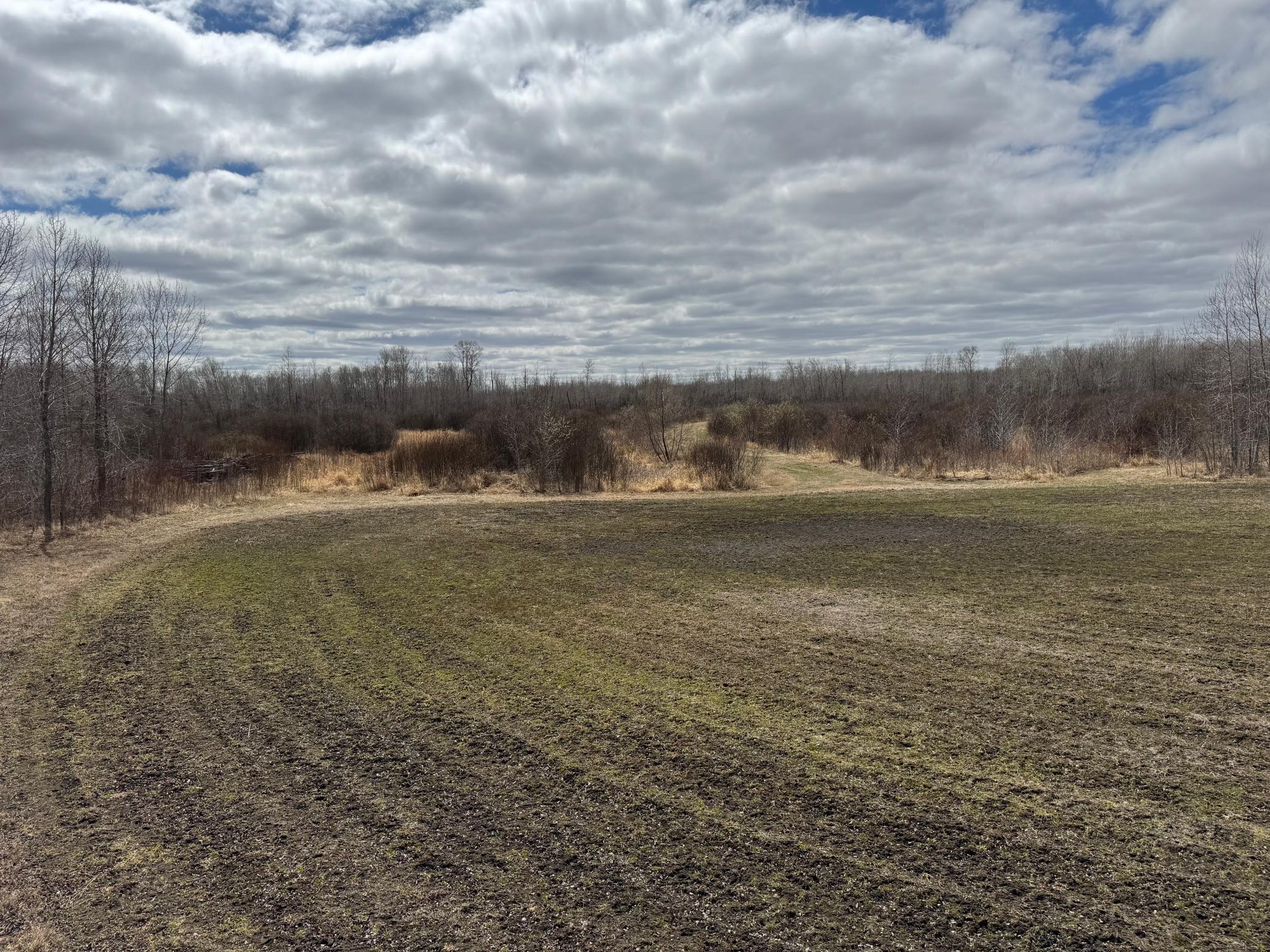 Tbd 480th Avenue Grygla, MN 56727 - Photo 11 of 35