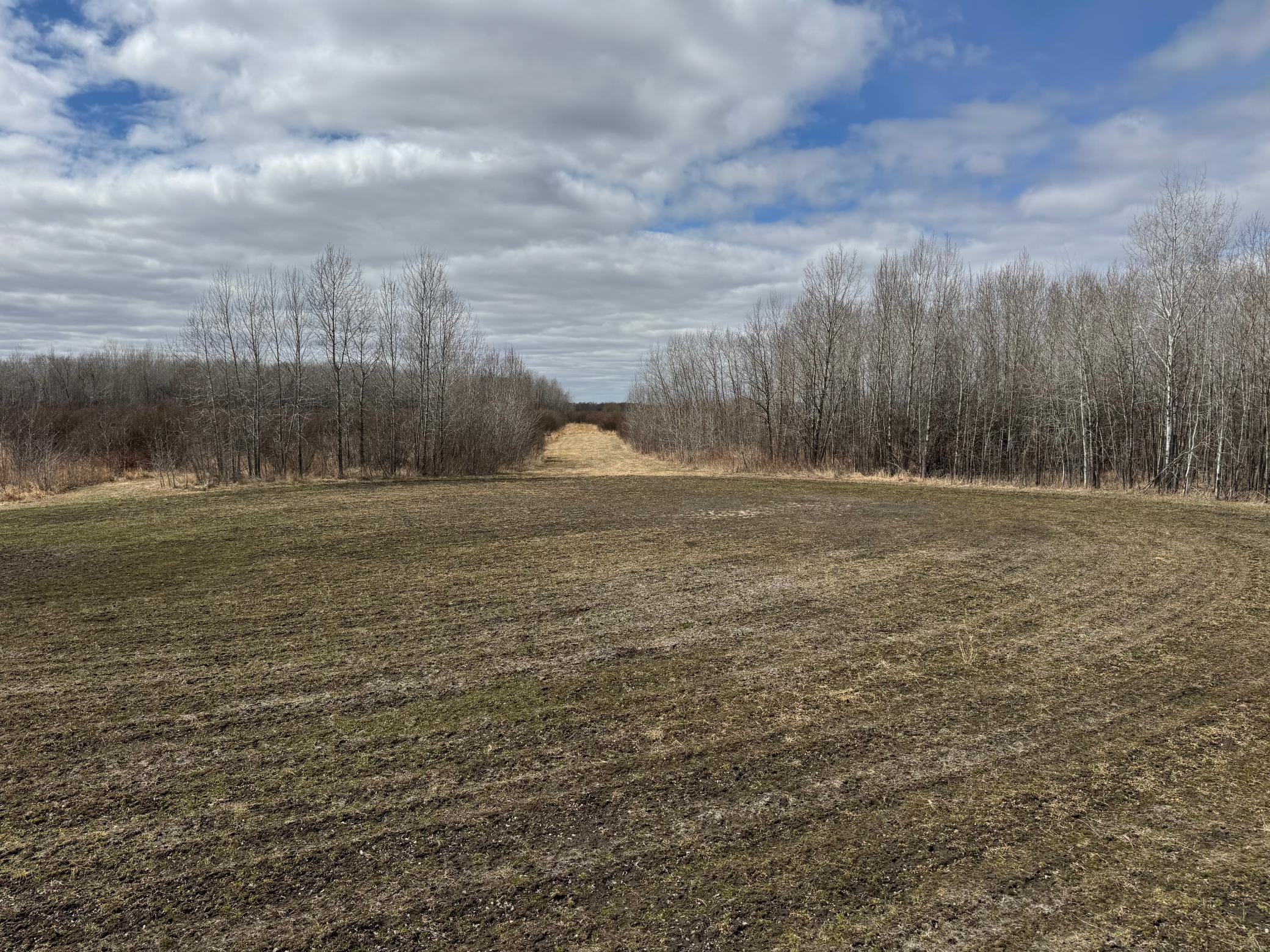 Tbd 480th Avenue Grygla, MN 56727 - Photo 12 of 35