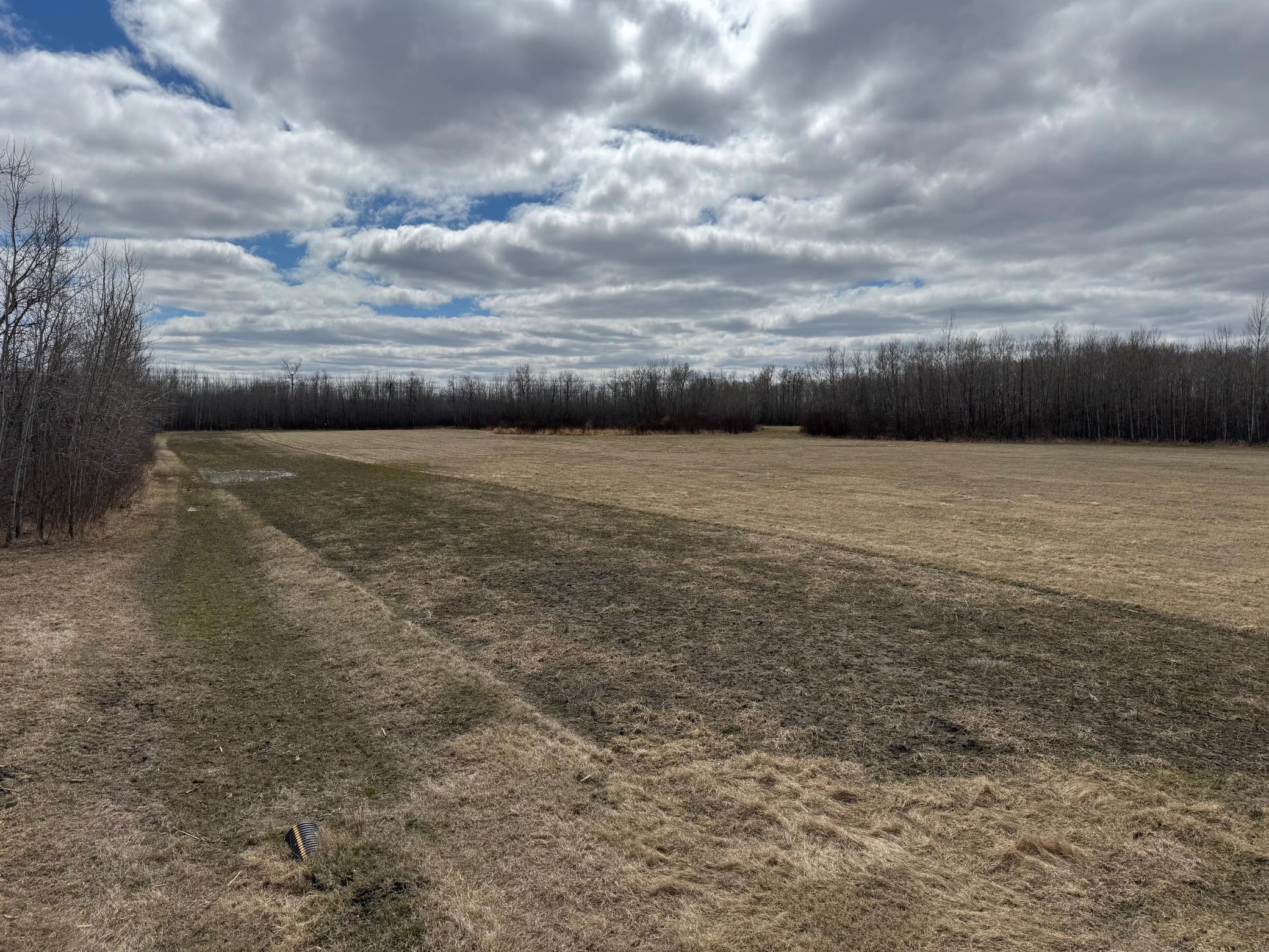 Tbd 480th Avenue Grygla, MN 56727 - Photo 13 of 35