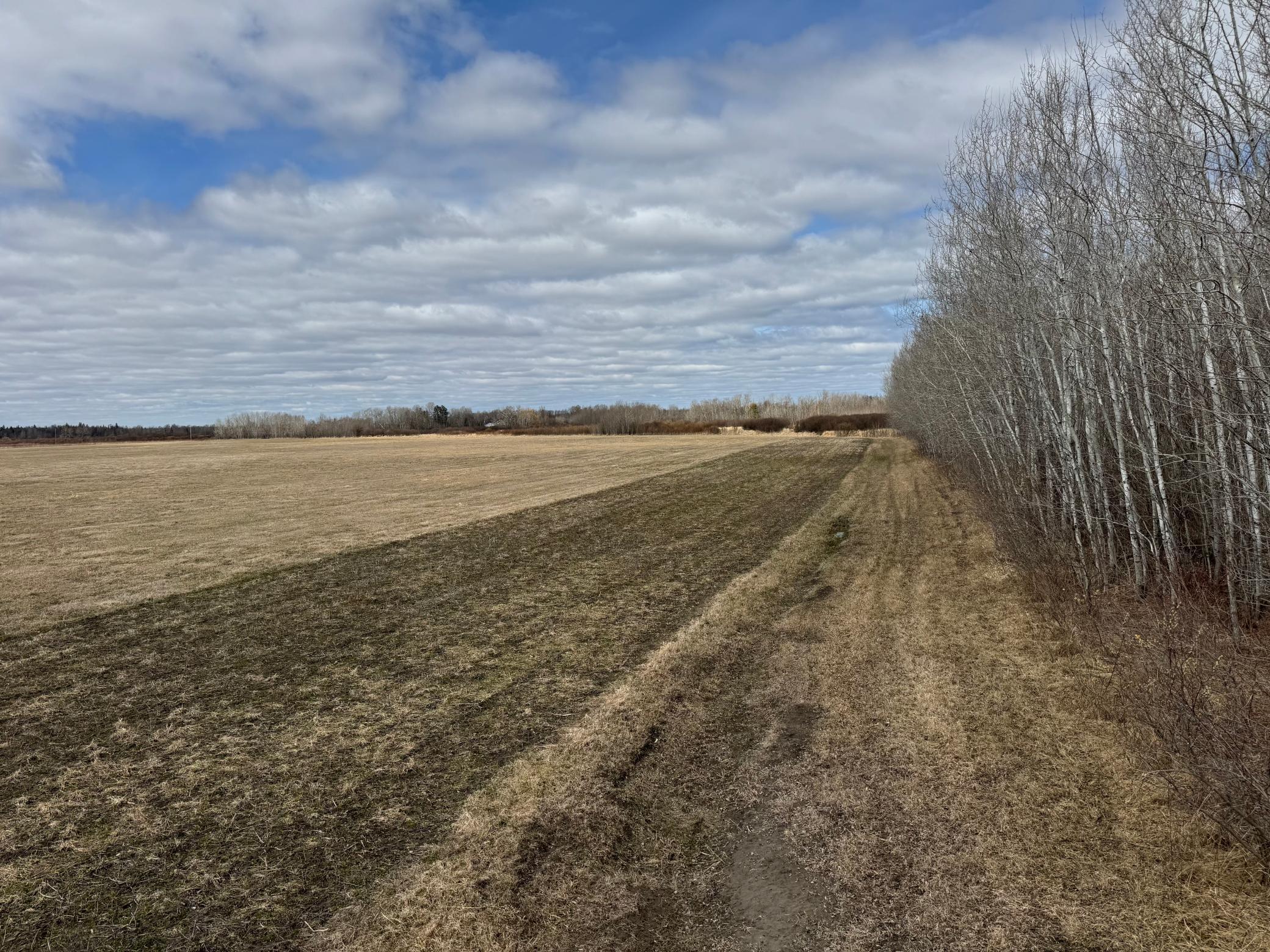 Tbd 480th Avenue Grygla, MN 56727 - Photo 15 of 35