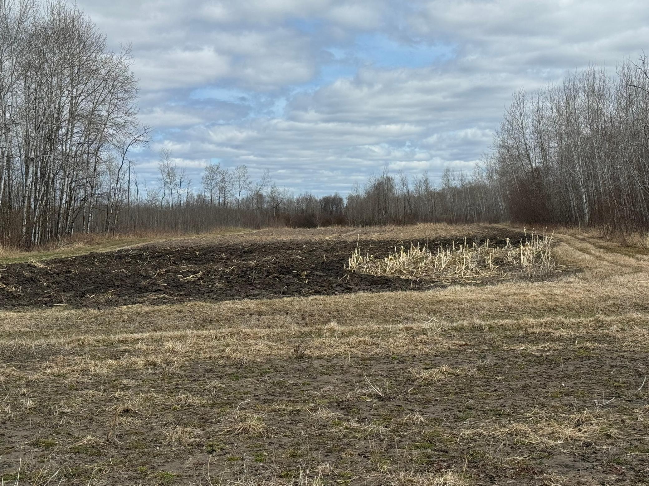 Tbd 480th Avenue Grygla, MN 56727 - Photo 16 of 35