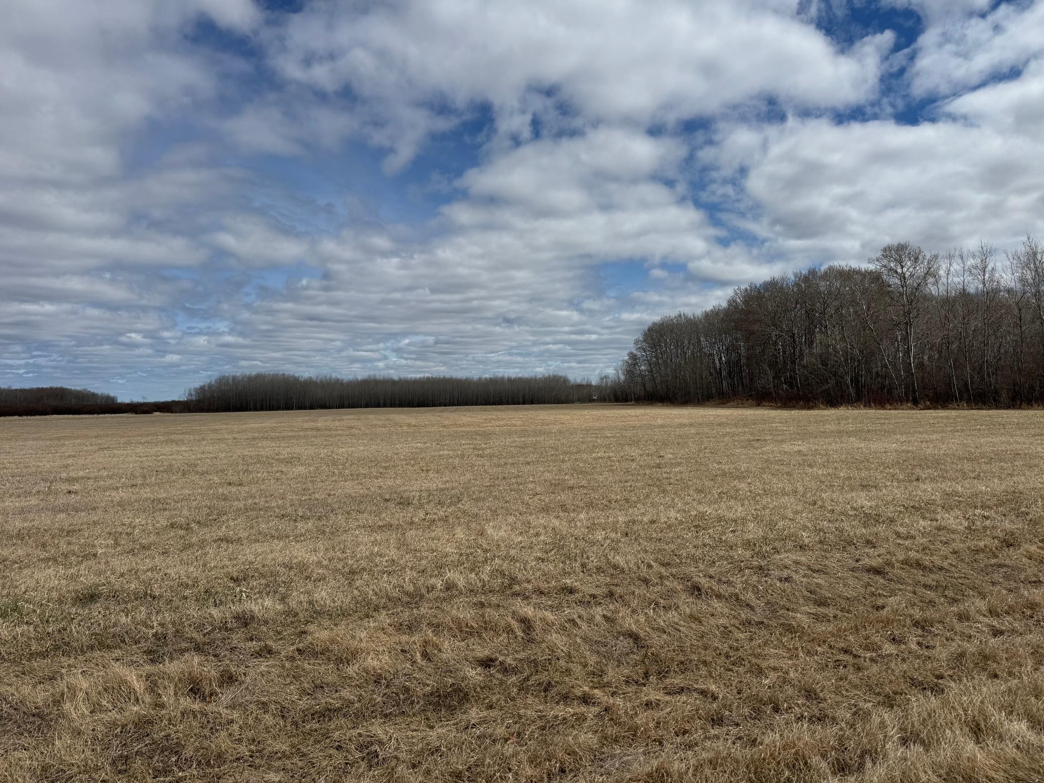 Tbd 480th Avenue Grygla, MN 56727 - Photo 18 of 35