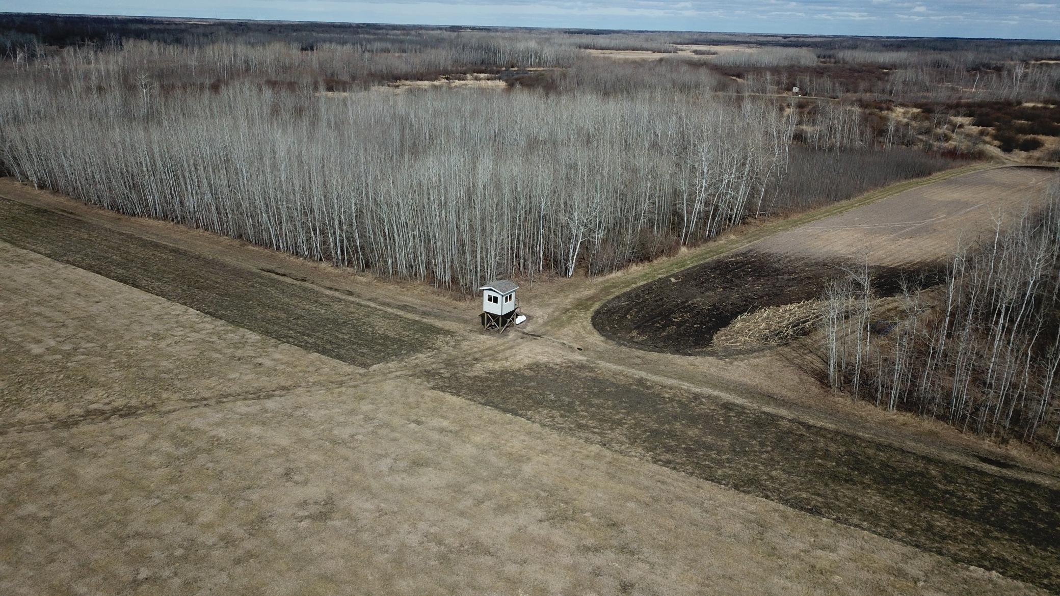 Tbd 480th Avenue Grygla, MN 56727 - Photo 2 of 35