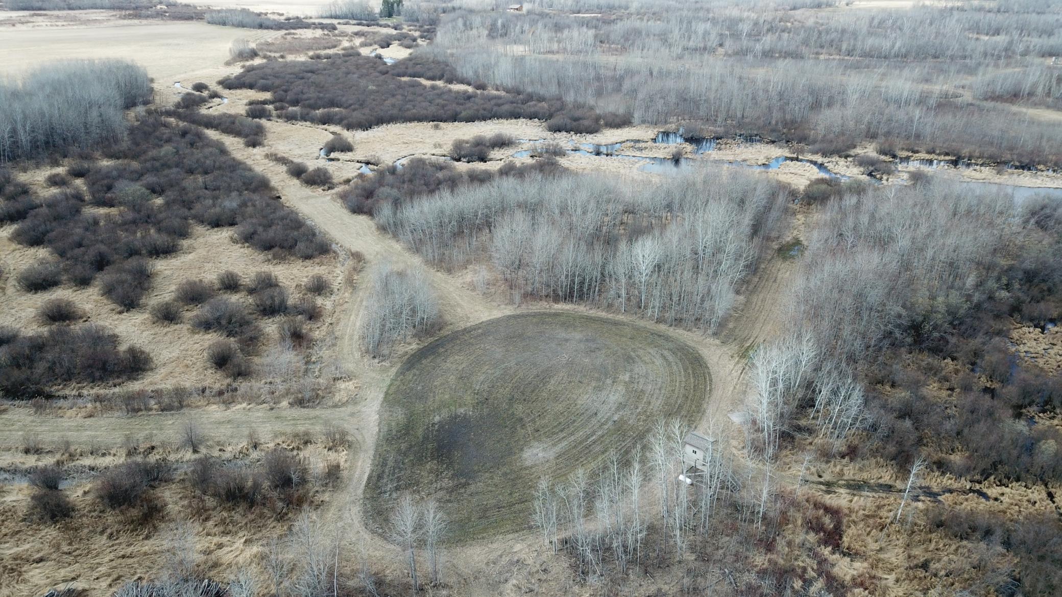 Tbd 480th Avenue Grygla, MN 56727 - Photo 21 of 35