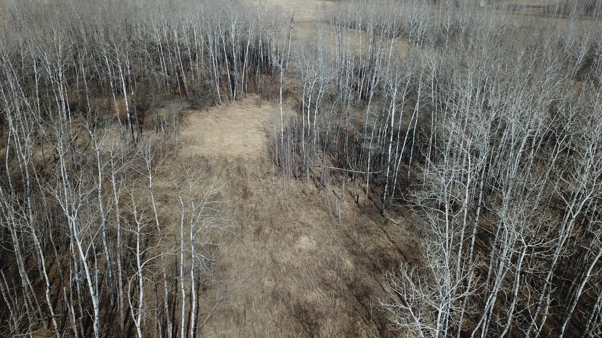 Tbd 480th Avenue Grygla, MN 56727 - Photo 22 of 35