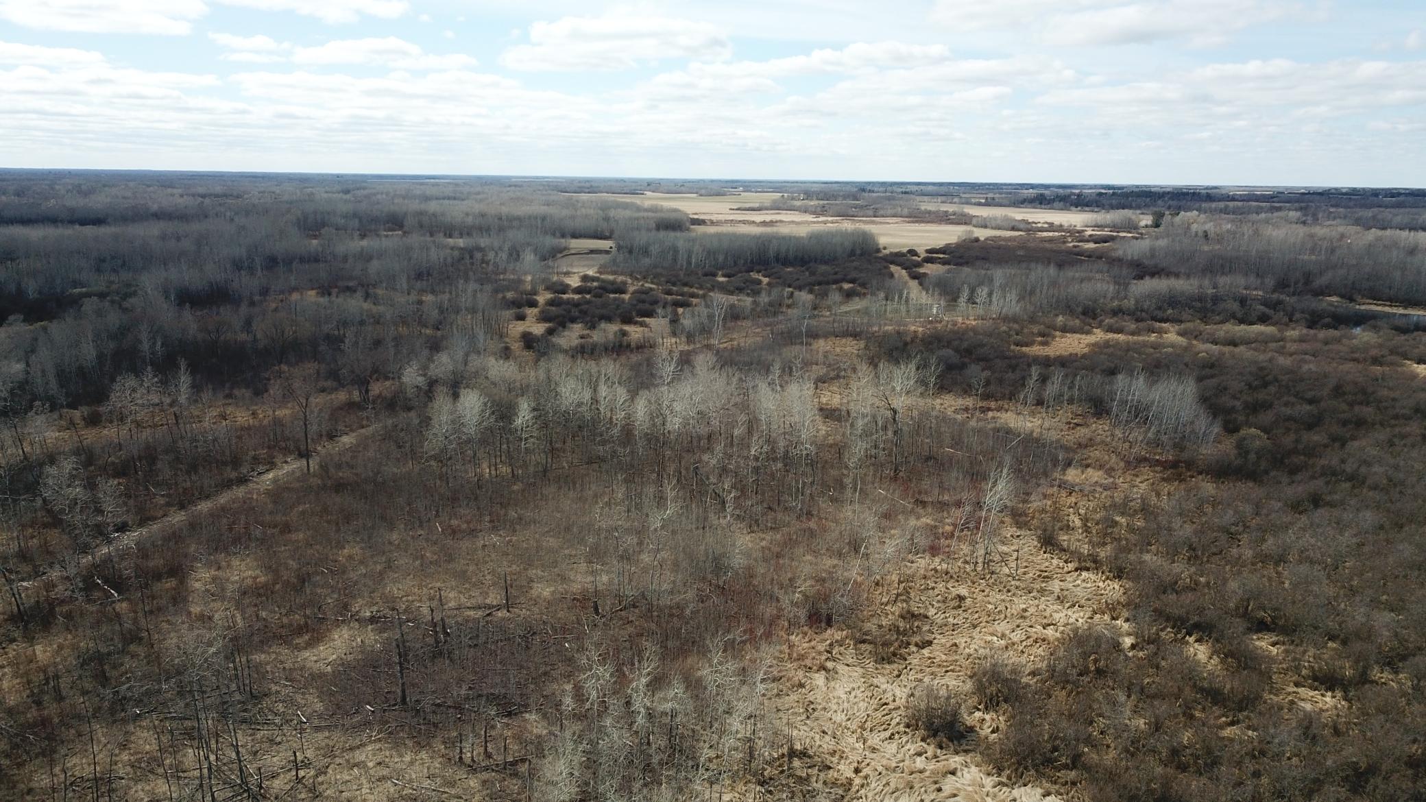 Tbd 480th Avenue Grygla, MN 56727 - Photo 24 of 35