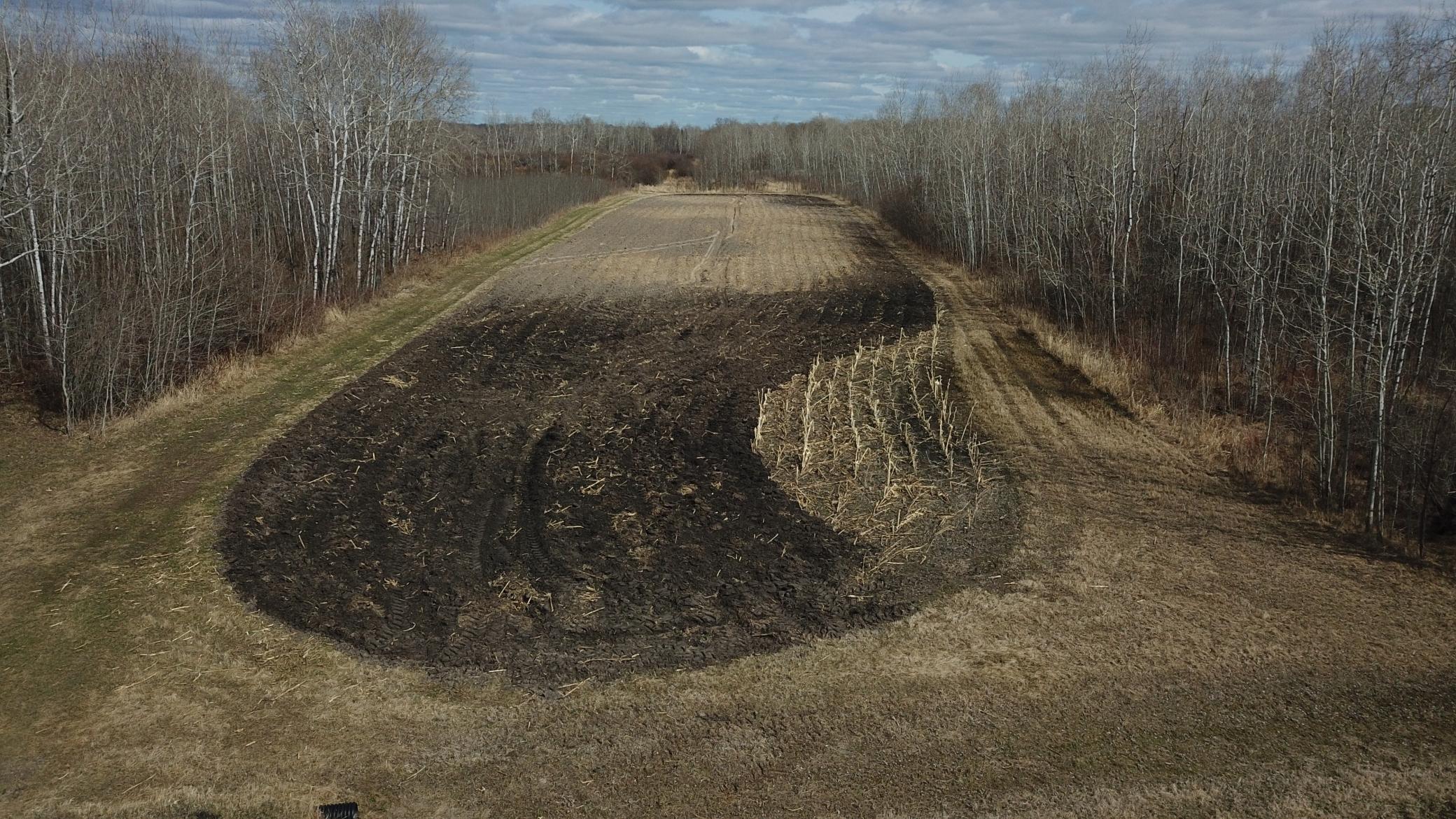 Tbd 480th Avenue Grygla, MN 56727 - Photo 25 of 35