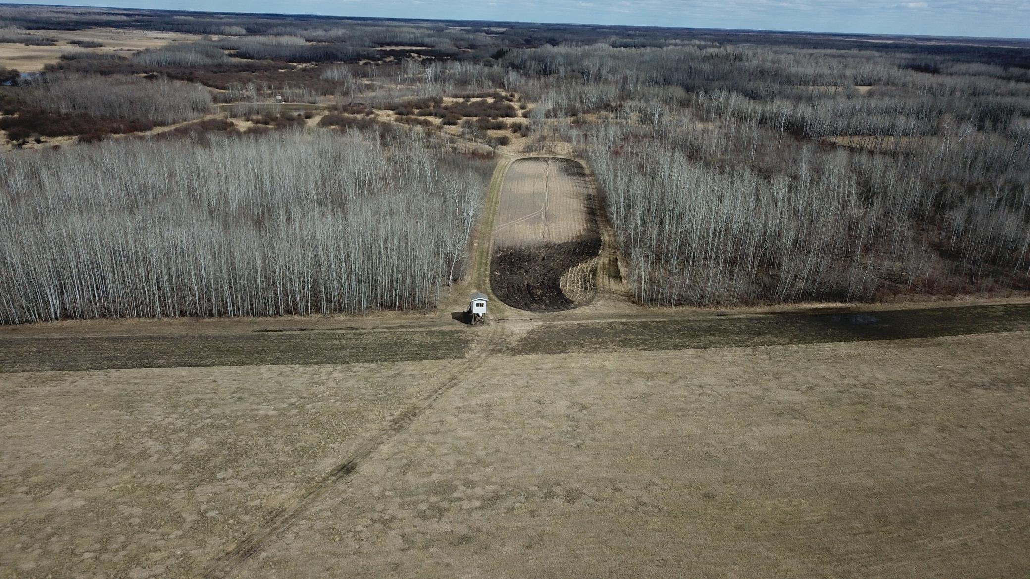 Tbd 480th Avenue Grygla, MN 56727 - Photo 27 of 35