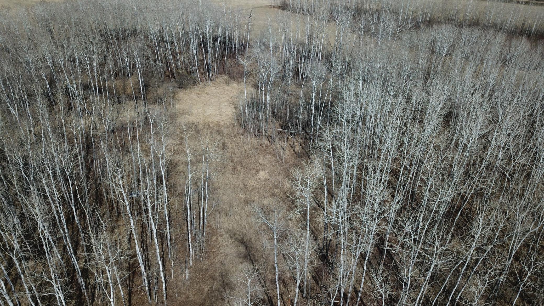 Tbd 480th Avenue Grygla, MN 56727 - Photo 29 of 35