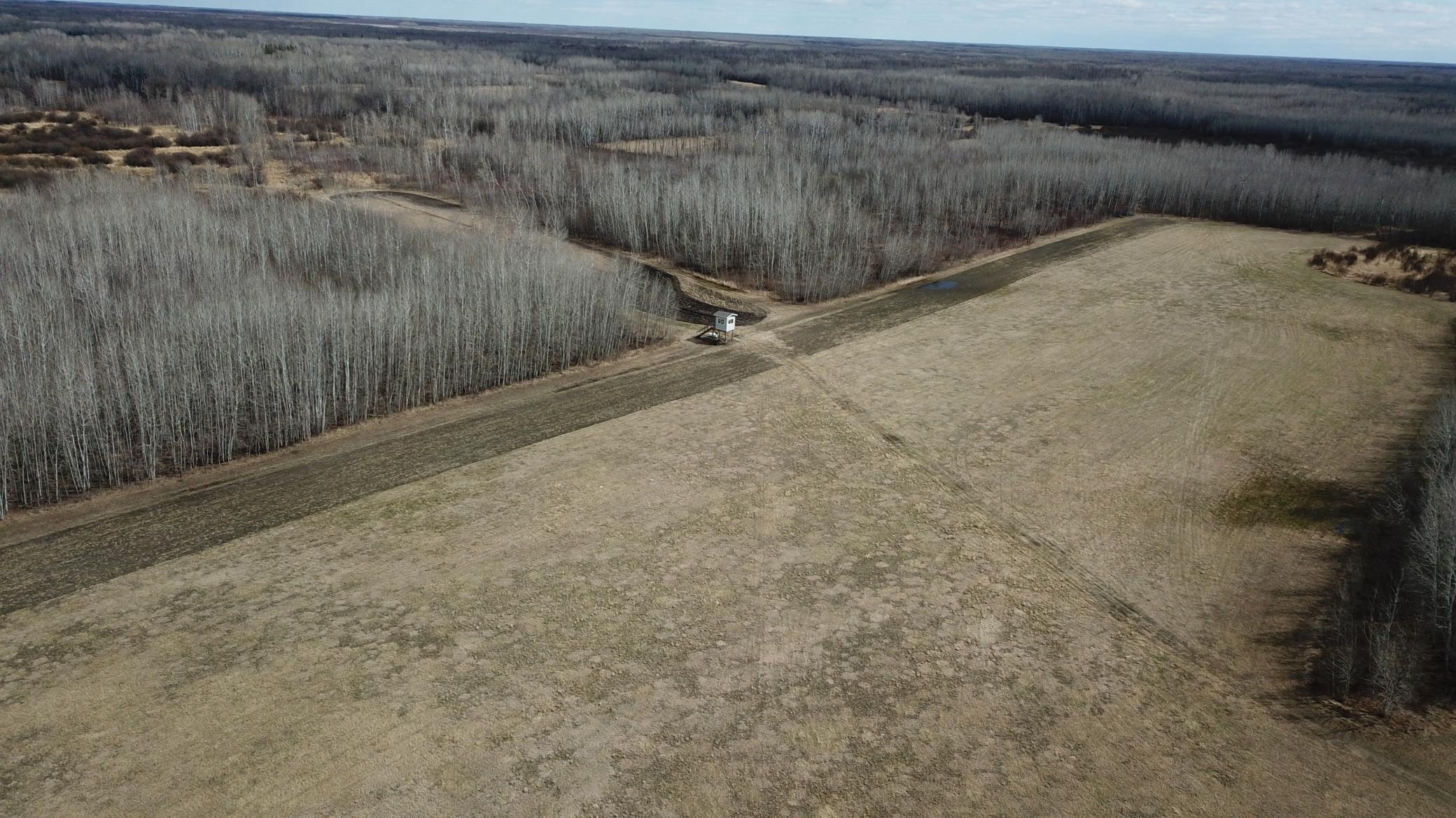 Tbd 480th Avenue Grygla, MN 56727 - Photo 4 of 35