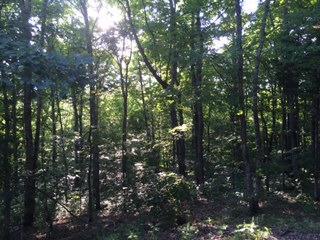 1 Jim Tuggle Road Monticello, KY 42633 - Photo 1 of 2 Primary Photo