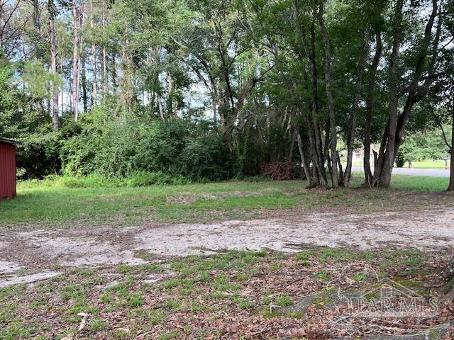 3174 Jack Springs Road Atmore, AL 36502 - Photo 7 of 24