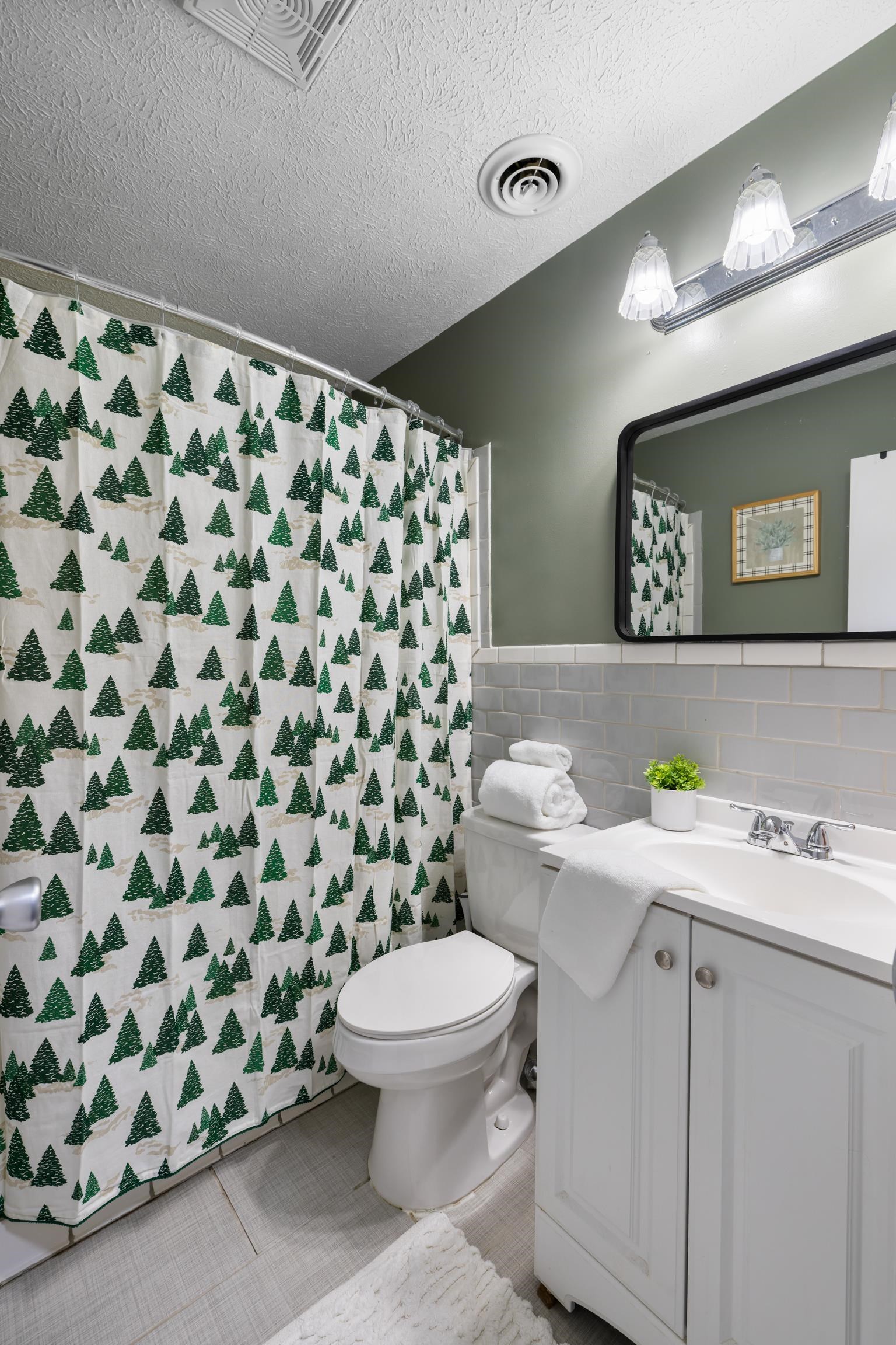 77 Greenway Road Stuarts Draft, VA 24477 - Photo 34 of 57 a bathroom with a sink and a toilet