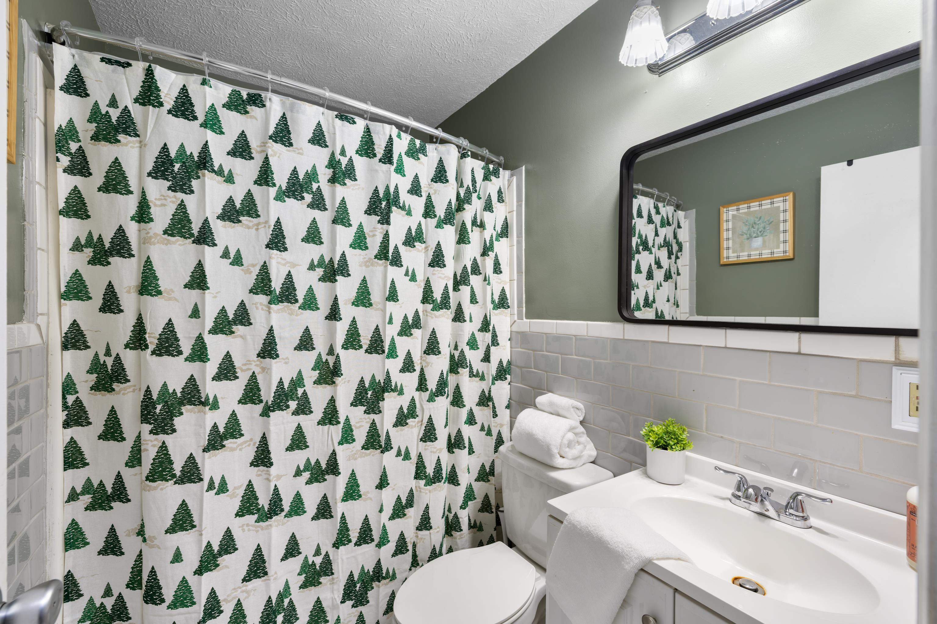 77 Greenway Road Stuarts Draft, VA 24477 - Photo 35 of 57 a bathroom with a sink toilet and mirror