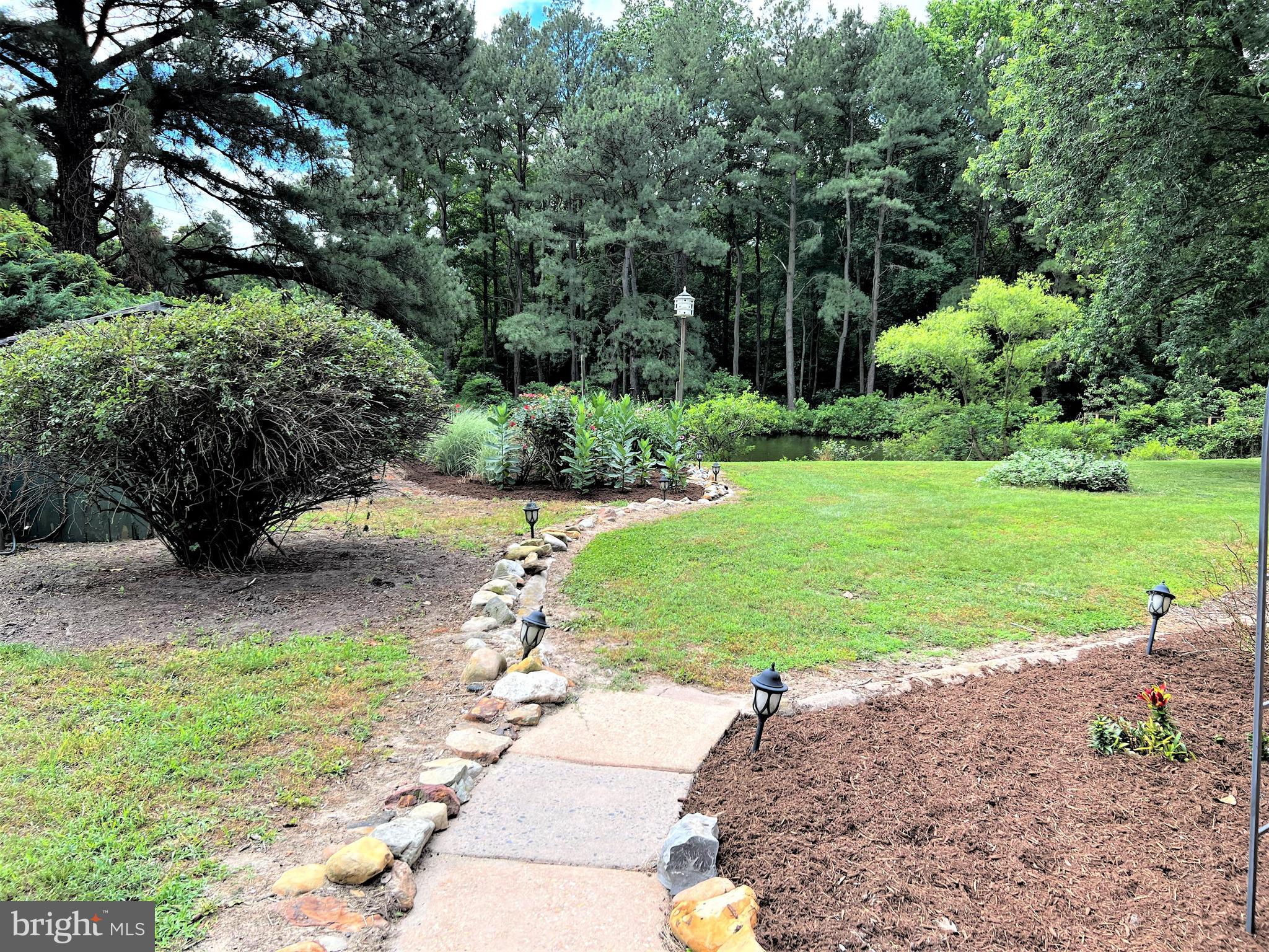 25873 Line Road Denton, MD 21629 - Photo 52 of 67