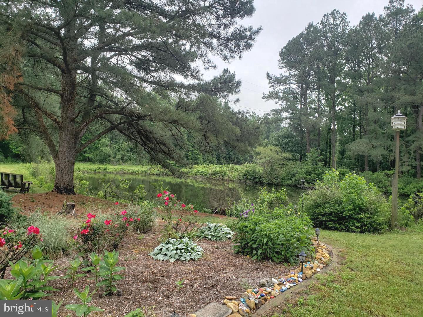 25873 Line Road Denton, MD 21629 - Photo 54 of 67