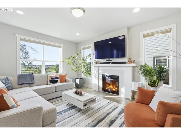 a living room with furniture a rug and a potted plant
