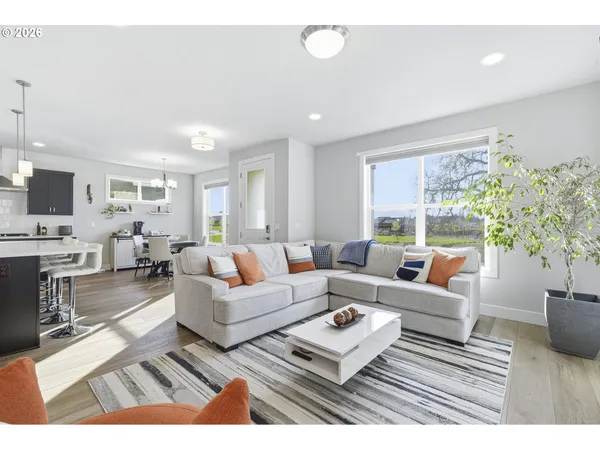 a living room with furniture kitchen view and a potted plant
