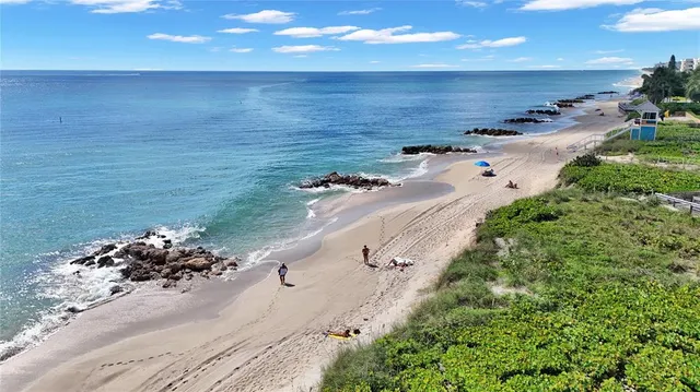 a view of a building with potted plants
