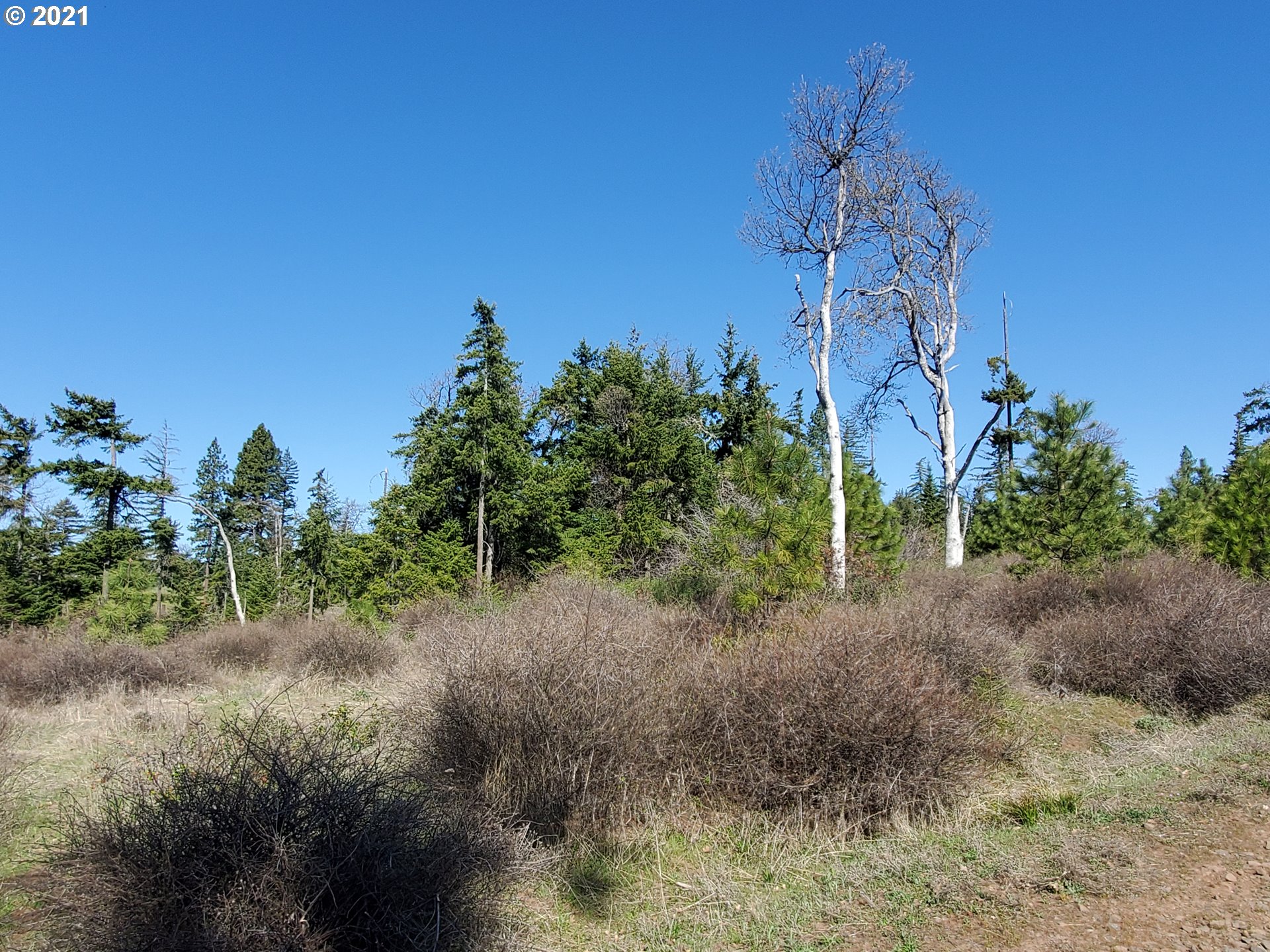 141 Remington Road Lyle, WA 98635 - Photo 3 of 12 Gallery Image 3