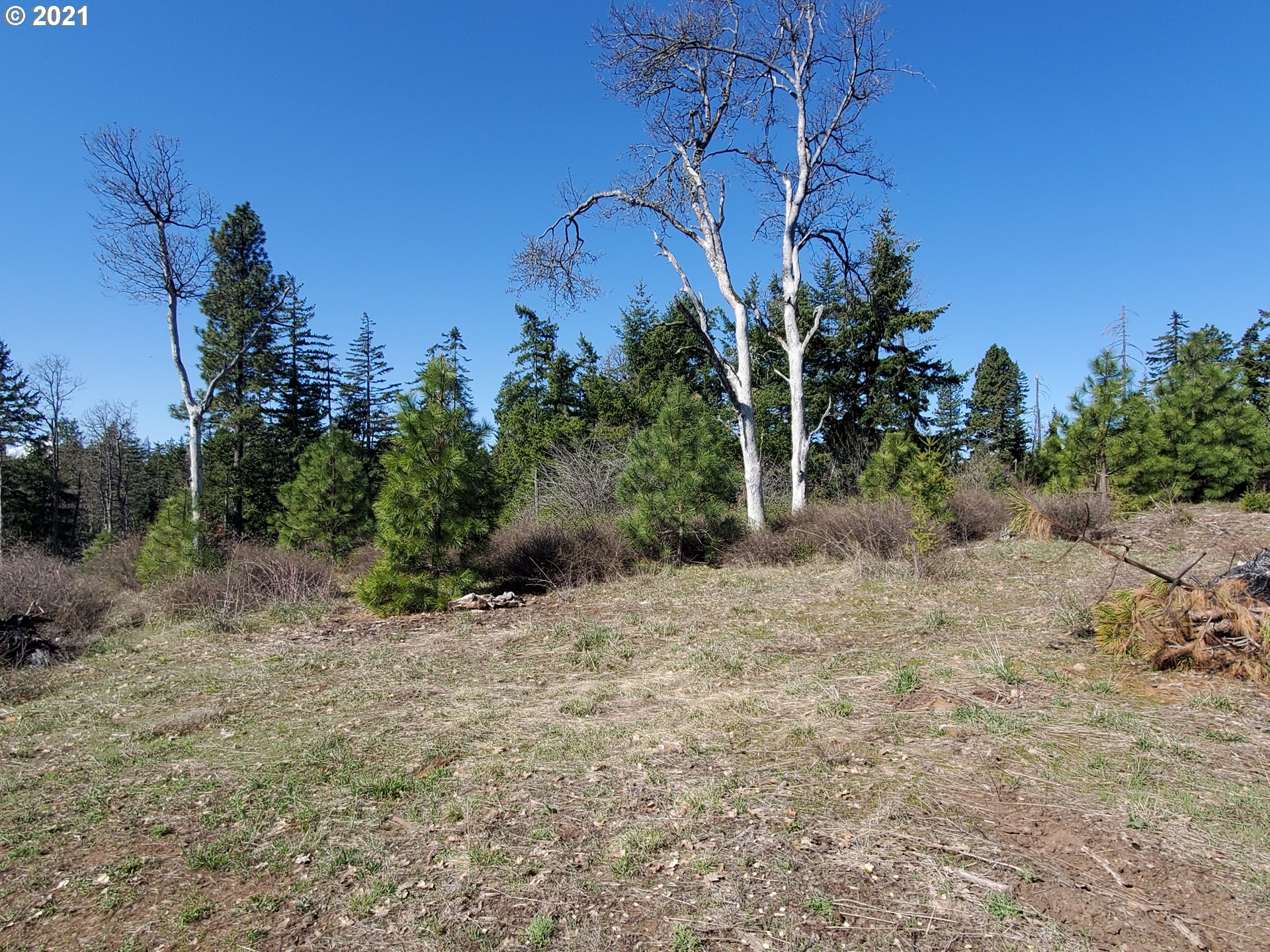 141 Remington Road Lyle, WA 98635 - Photo 8 of 12 Gallery Image 8