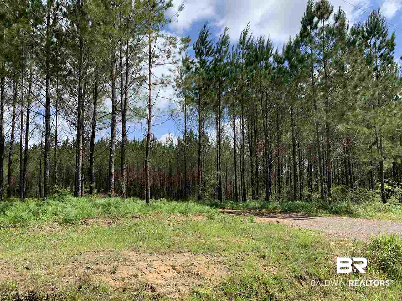 31810 Happy Hollow Road Robertsdale, AL 36567 - Photo 1 of 7