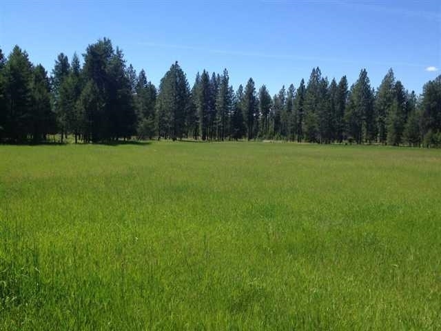 8608 East Hamilton Road Chattaroy, WA 99003 - Photo 3 of 13