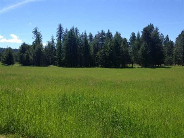 8608 East Hamilton Road Chattaroy, WA 99003 - Photo 4 of 13