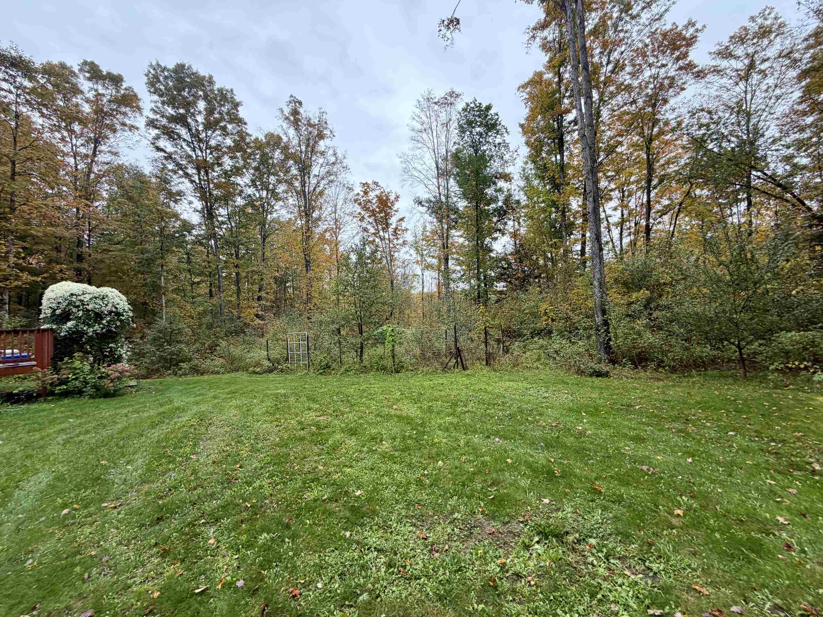 2278 Beeman Road Bellaire, MI 49615 - Photo 25 of 25 1951229-8b20db14-ea80-4cbf-908a-4779852aaa4e.JPG