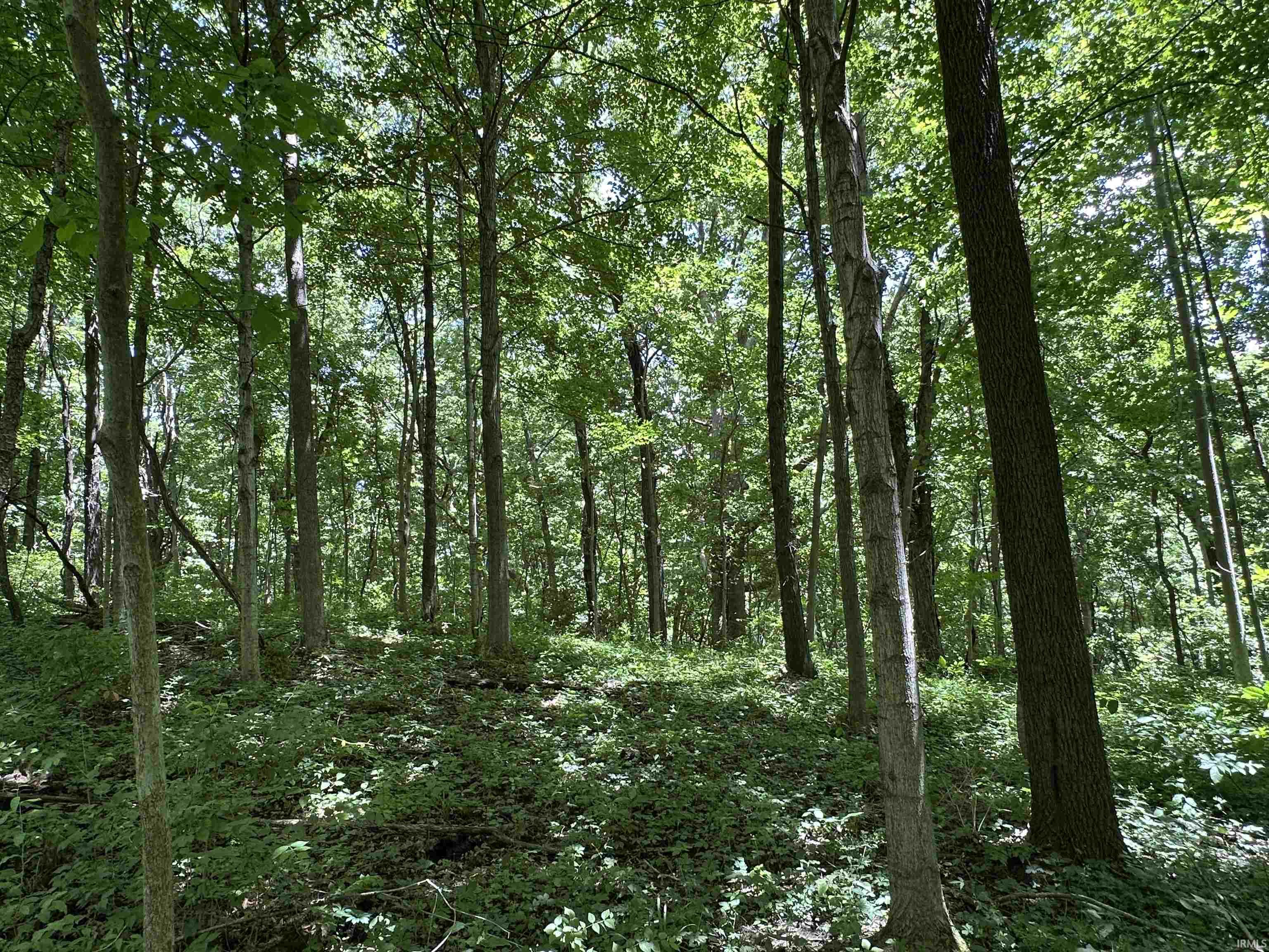 4645 South W County Line Road Fort Wayne, IN 46814 - Photo 1 of 12
