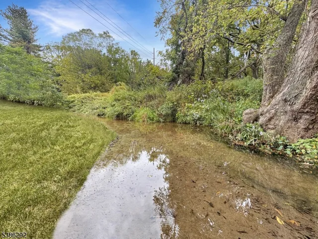a view of a lake with a mountain
