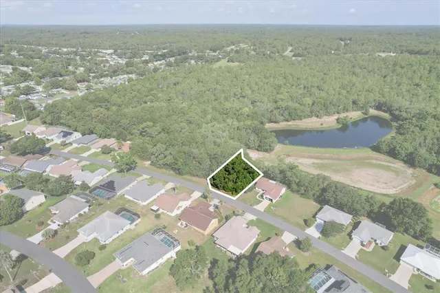 a view of a city from a yard